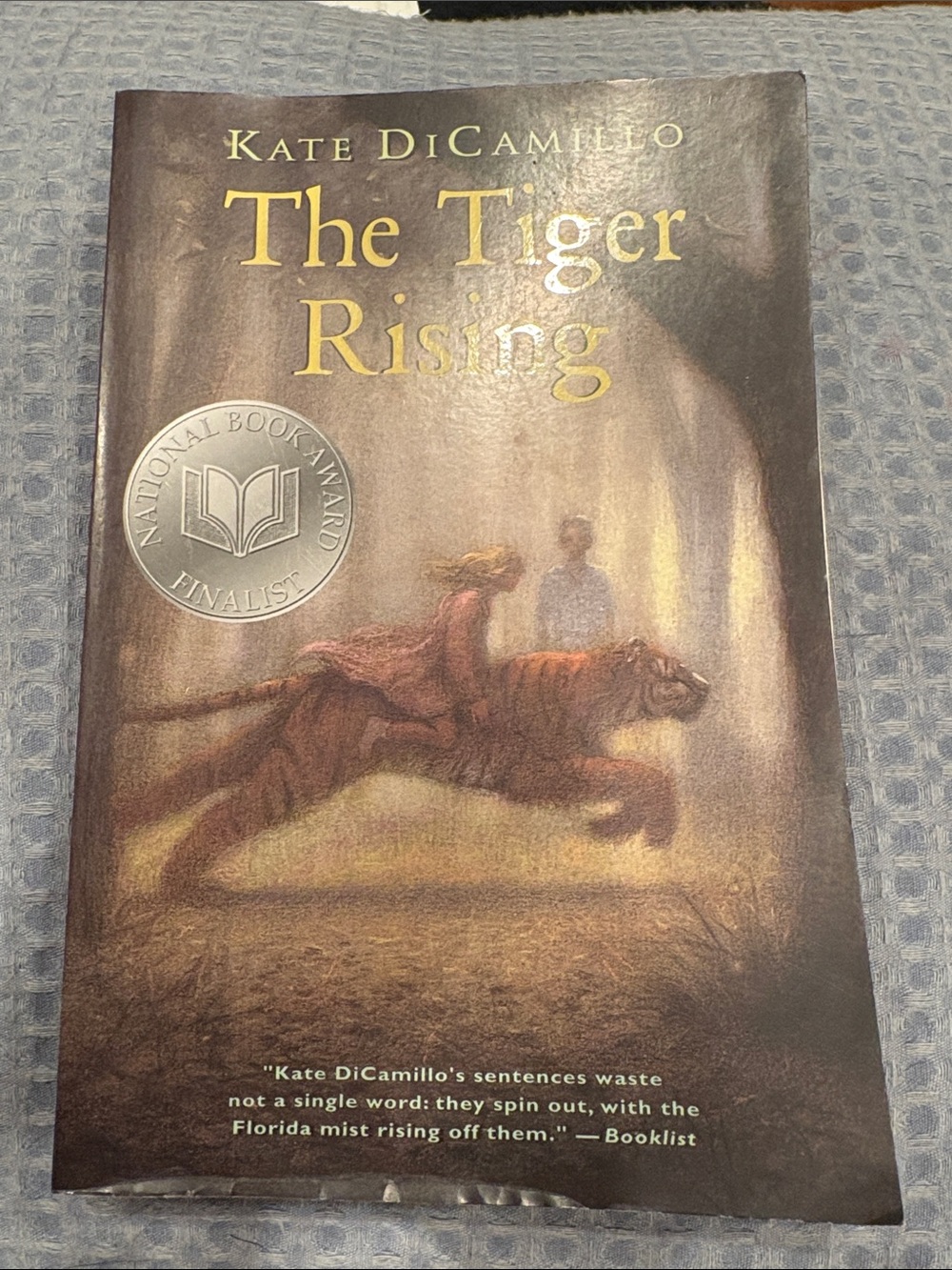 The Tiger Rising by Kate DiCamillo - Brown/Gold Paperback